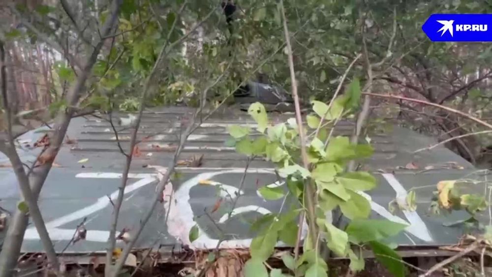 ������� "��" ��������� ��� ��������� � ���������� ������� (���) � �������