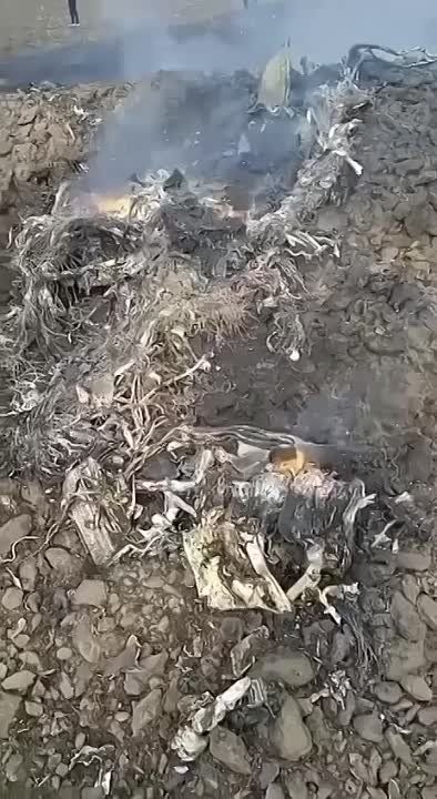 ����� � ����� ������� ������ �� ���������� ������ ��������� � ���������� ������� ��������� � ����