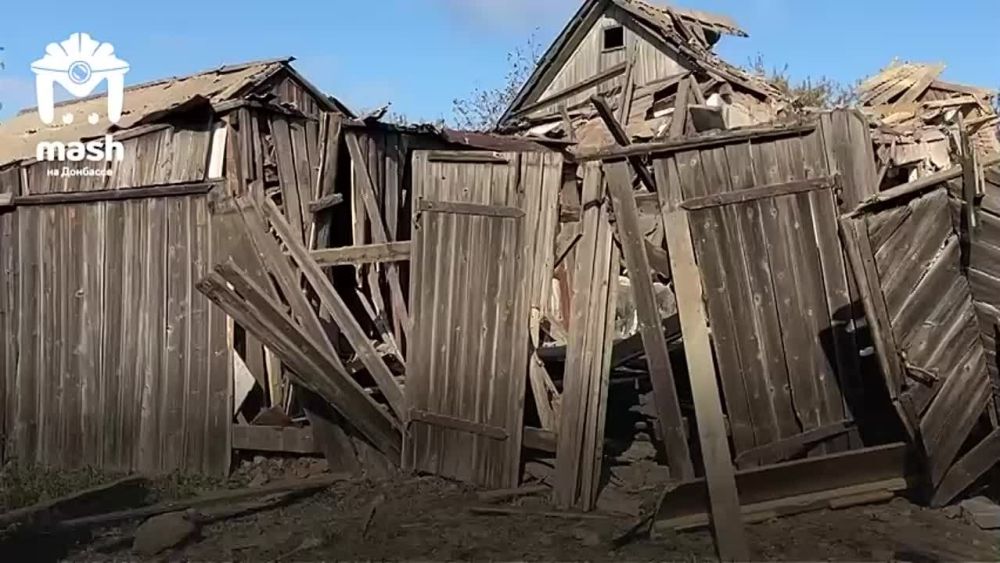 Мужчина каждый день ездил в Артёмовск (ЛНР) кормить любимых собак, которых не смог увезти с собой