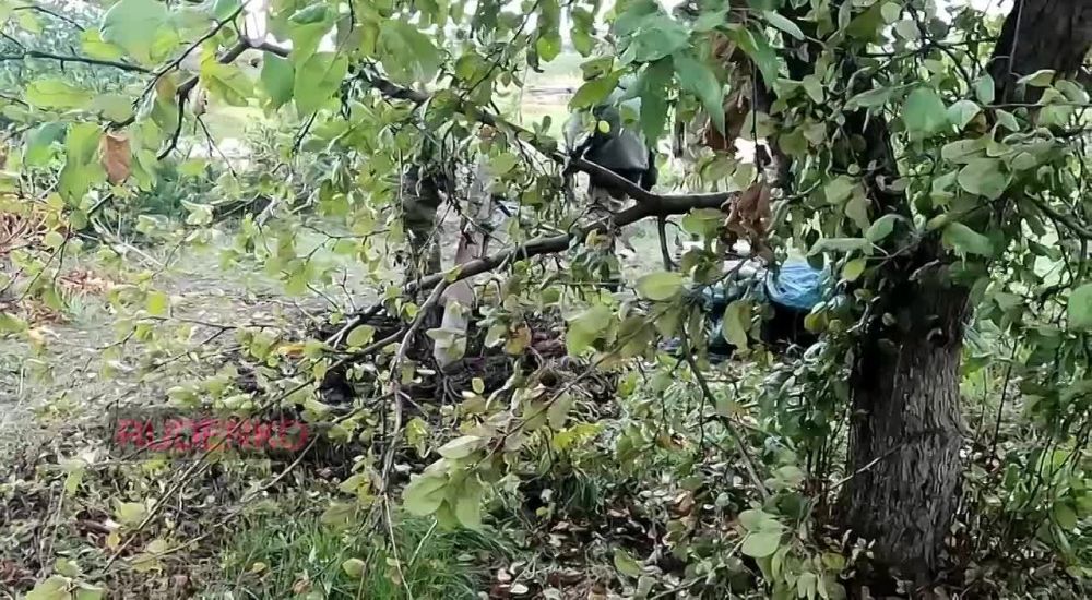 ������ �������: ���������� � ������ ����������