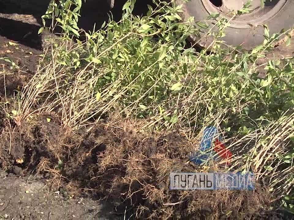 ������������ �������� ������������� ������� � ������������ ������� ������ ������������