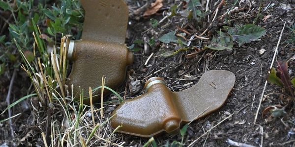 ����� ������ ������� � ������ ���� �������, ������������ �� ������������� ��������� - ���