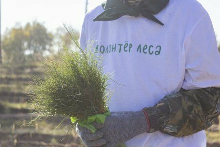 ����� "�������� ���" ����������� �������� 15 ���. ������� ����� � �������� �����������