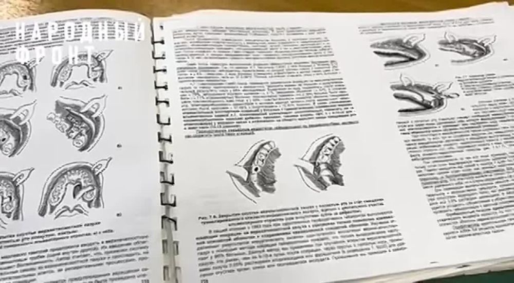 ������� ���� �������� ������������ ������������� ��������� ��� � ��� ���������� � ������ �����, ������� ����� ������ �� ������� � �������� ������� �����������