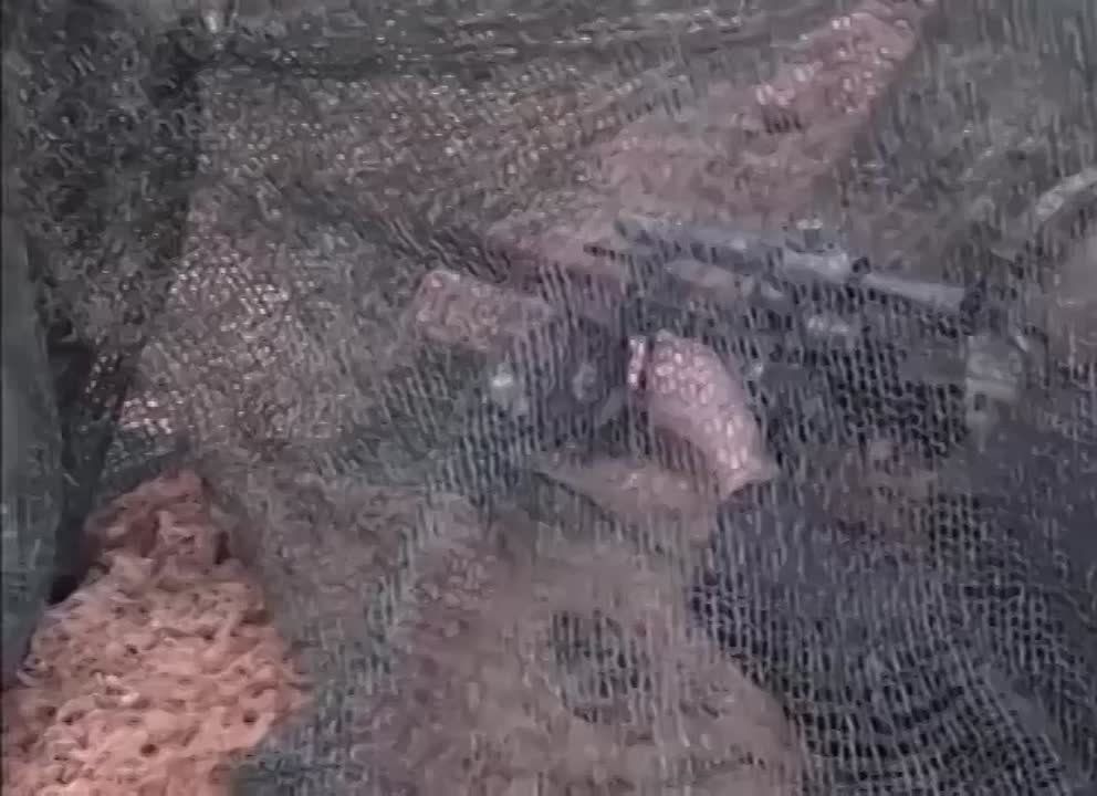 ����� ��������, � ���� ������� ����� �� �������� � ��������� �������