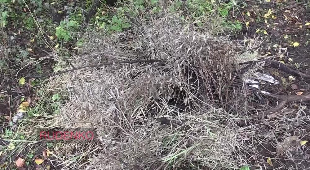 ������ �������: � ���������� ����������-��������� ����������� ������������ ��� ������� ����� ��� � ������� � ������������ ������������ ������������