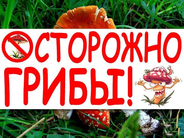 ��������� � �����!. �� ��������� �� 24.10.2022 ����, �������� ����������� ���������� �� ���������� ��������������� ��ѻ ��...