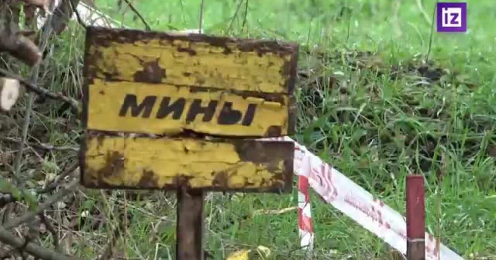 Саперы разминируют территорию в освобожденных от ВСУ регионах