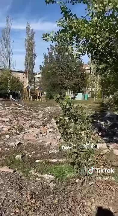 ����� �����: ���������� ����� ���� � ��������� � ����������