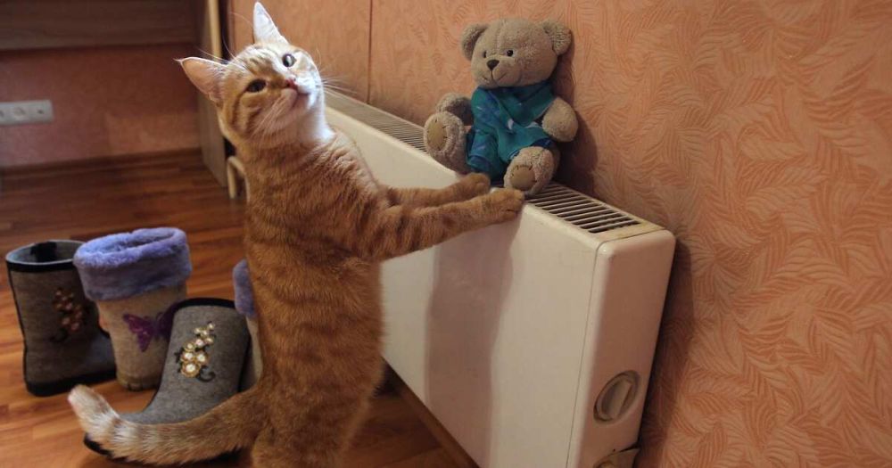 � ���������� ������ �������� ���