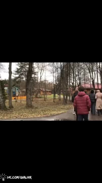 � ���� ��������, ������������� �� ����� � ������� ��������������� ������ "���������" � ���������� �������, ���������� 12-������� �����