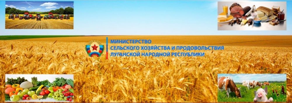 ���������� ������� � ������ ������ ������ �� �������������� ���������������������������