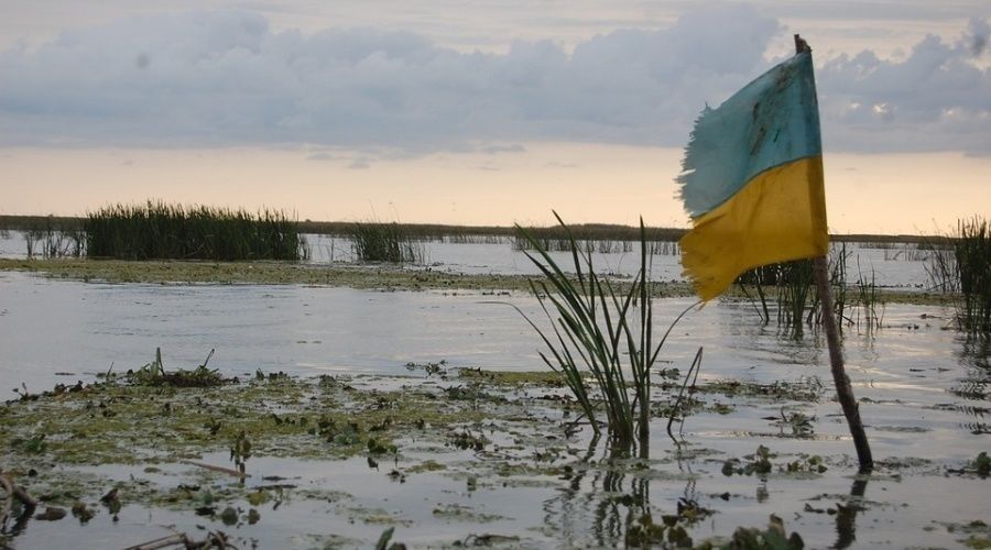 ������� �������� ����� �������� ��������� ����� ������������� 2014 ����