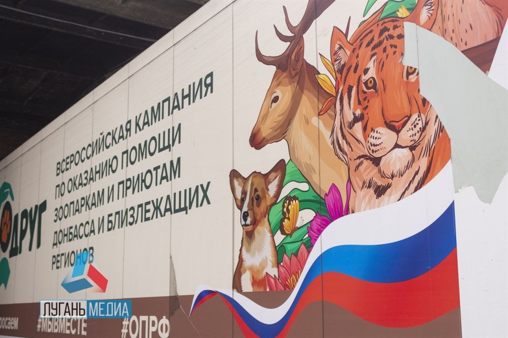 В Луганске состоялась выдача гуманитарной помощи приютам для животных и конно-спортивным клубам