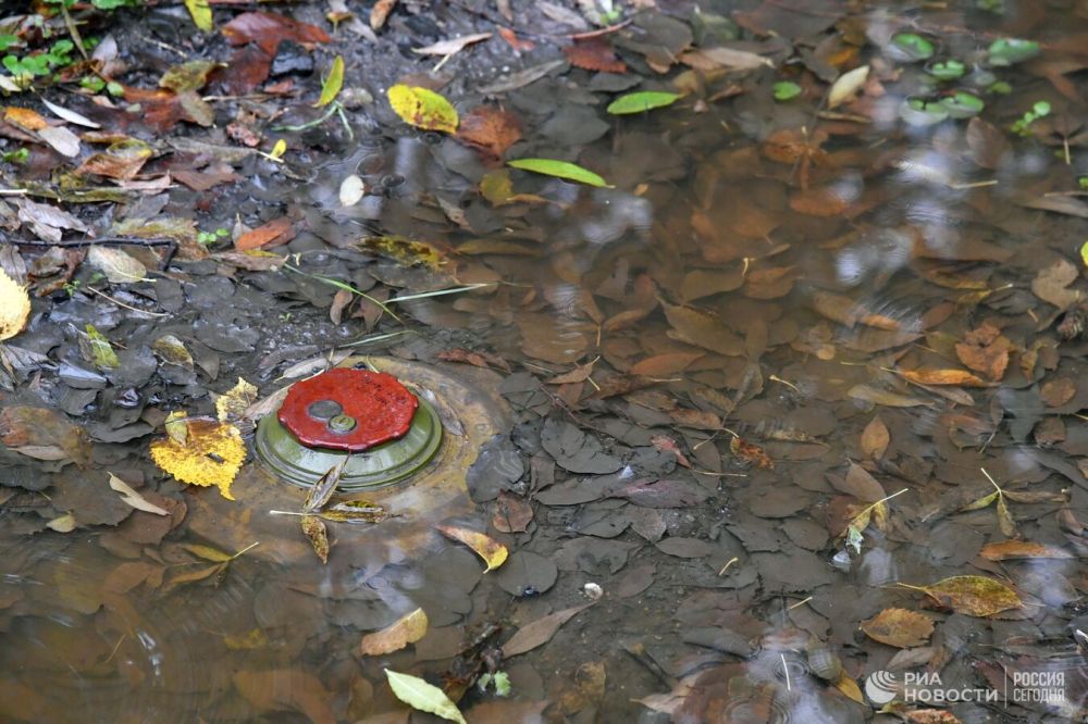 � ���������� ��� ����������, ������� �������� ���� ���������� ������������