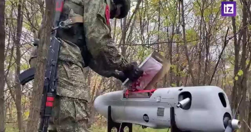 ������������ "�����" ����������� ���������� ��� � ���� ������������