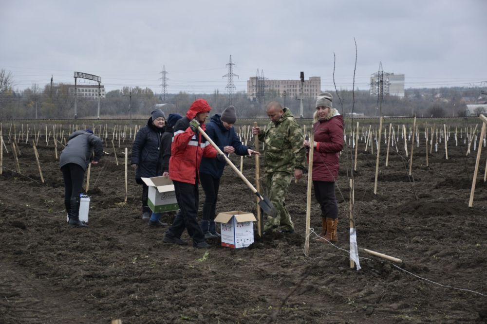 ����� 26 ����� �������� ������, ���� � ���� ������ ������ �� ������� 50 �������� ������� � ������� ���� � ���� ���������� ����� �������� ����������� ���������� ���� � ����������