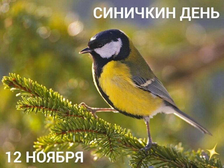��������� ��� ����� � ������ �������� ��� ���� ������������� �������� � �������� ����
