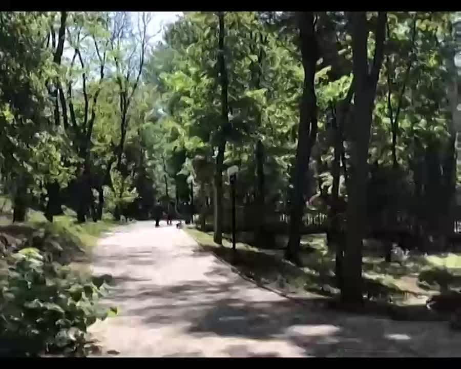 Об истории Александровского парка города Ровеньки, смотрите в новом выпуске программы «Мое родное» на телеканале «Луганск 24»