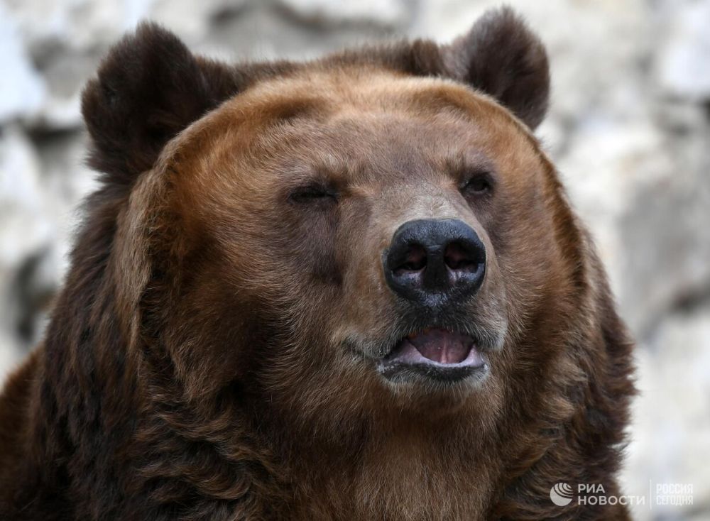 ������� �� ��� �������� � ������ ��������������� ����������� ��������