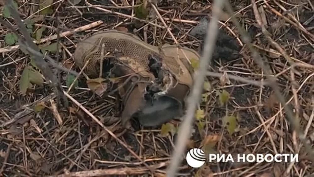 ��������, ������ �������� ���������� ����� "������ � ���" ��� ����� ������ �������� "���������"