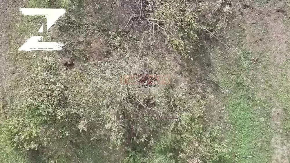 ������ ����������: �������� ����� �� 4-� ������� �� ��� @Z4LPR, �� ������������ � ������� ���������� �-1, � ������� ������ �������� �� 150 ������ (������ ���������, �������, ������)