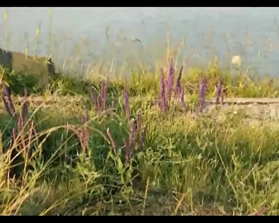 � ����������� �����, ������� ����������� � ������������ ������, �������� � ����� ������� ��������� ���� ������ �� ���������� �������� 24�