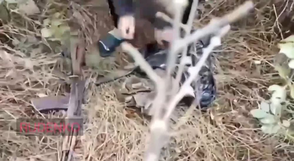 ������ �������: � ��� ������������� ���������� ���������� ���� ������������������ ���