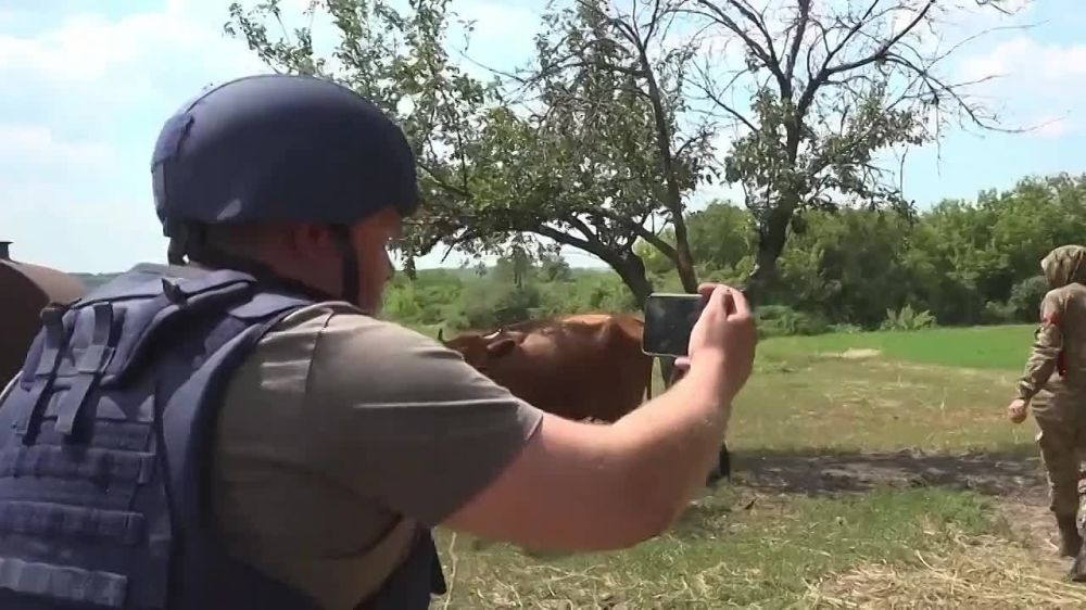 Дмитрий Кулько: Июня 2022. Наш репортаж об окружении группировки ВСУ в Горском и Золотом, откуда противник 8 лет бомбил ЛНР