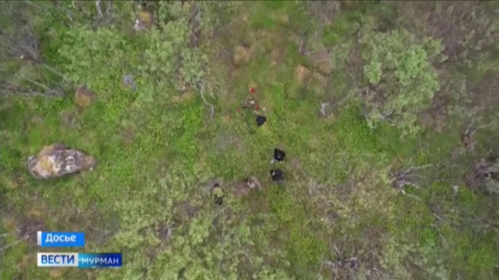 �������� �����: � ��� � ����� � ���������� ������������� ����� ������ ������ �� ����������� ���������� ������