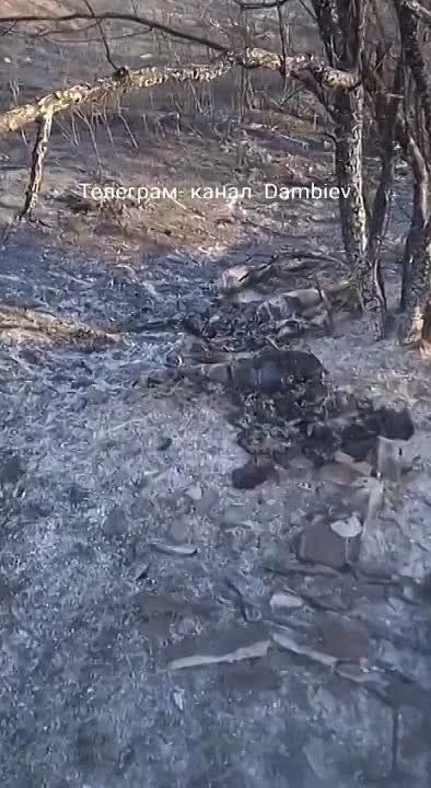 ��� ������������ ���-131 ���������� �����, ������� �������������� ��� ������� ����������� �� ���������� �����������