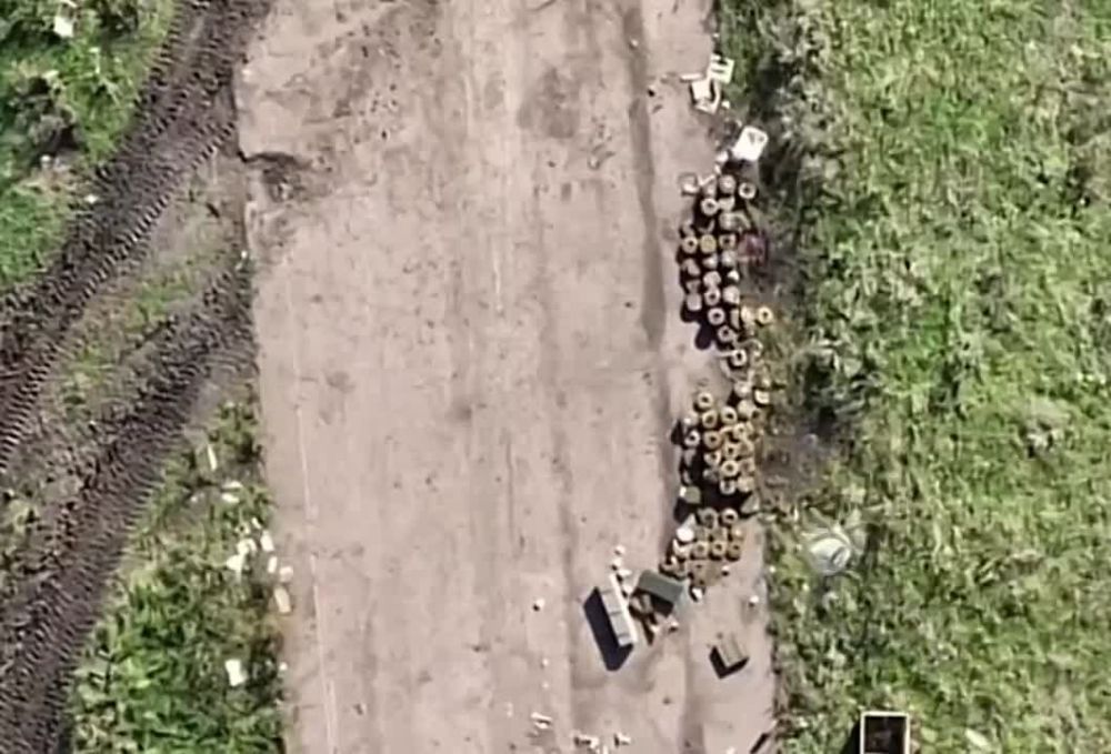 ������ ����������: ����� 4 ������� �� ��� �������� � ����� ����� �� ����� ��������������� ��� ���