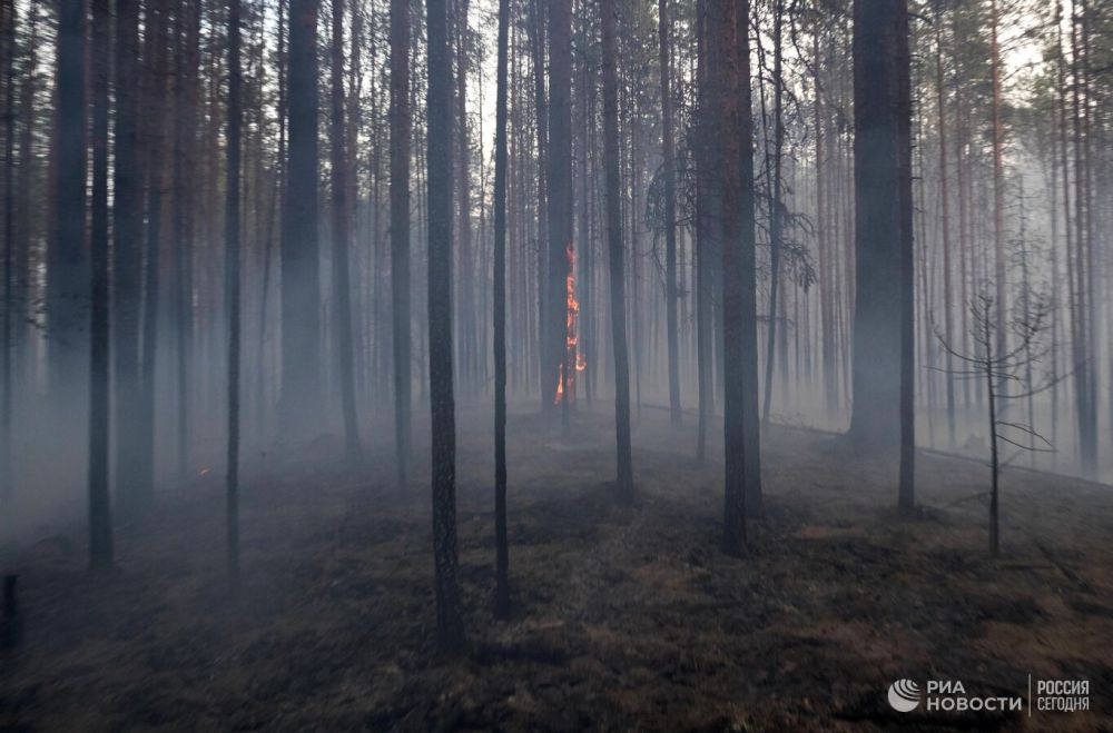 ������ ��� ���������� ������� ������������ ���������� �� ��������� ���