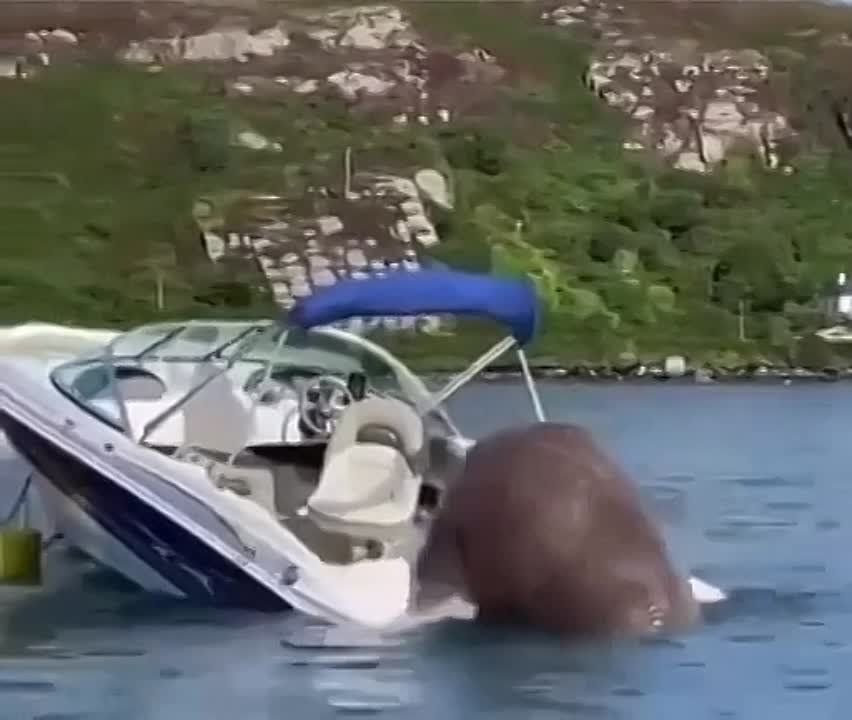 �� ������ ����� � ��������