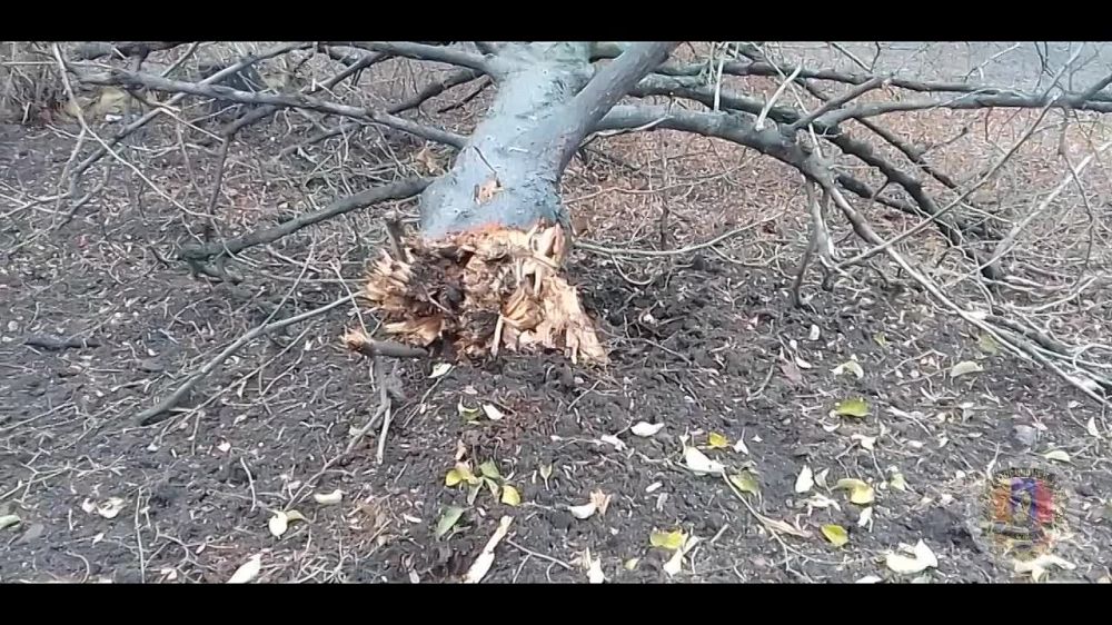 24 ноября ориентировочно в 16-30 укрофашисты снова обстреляли Новодружеск, с применением 152-миллиметровых снарядов