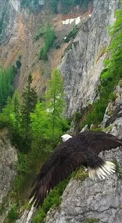 ������� ��������! ��������� �� ���, ����� ���� ������� ��������� � �������� ���������!