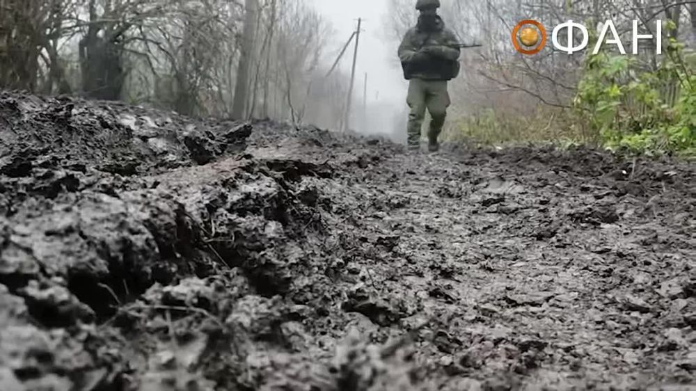 ����� �����: ����� ������ �� �������� ���. ������������ � ���������� ������� "�����"