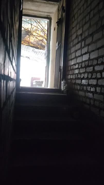 ������� ��������: � �������� ��������� �������� ������ ���������