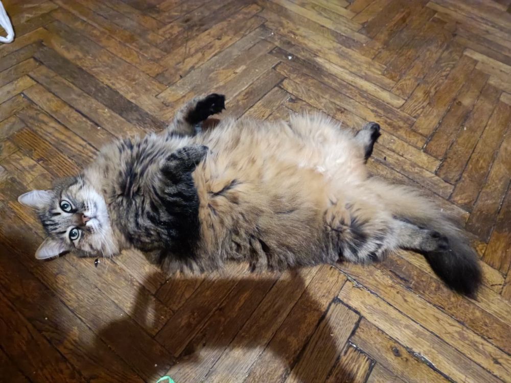 ���� ���������: ��� �������� �����, ��� ������� ��������� ���� �������� ��������! ����, ��� ����� ���������, ��� � ����� ����, ������� ����������� �������������, �������� ���������, ������������������, ���� ���� �����! �������� ��� ������ ������!