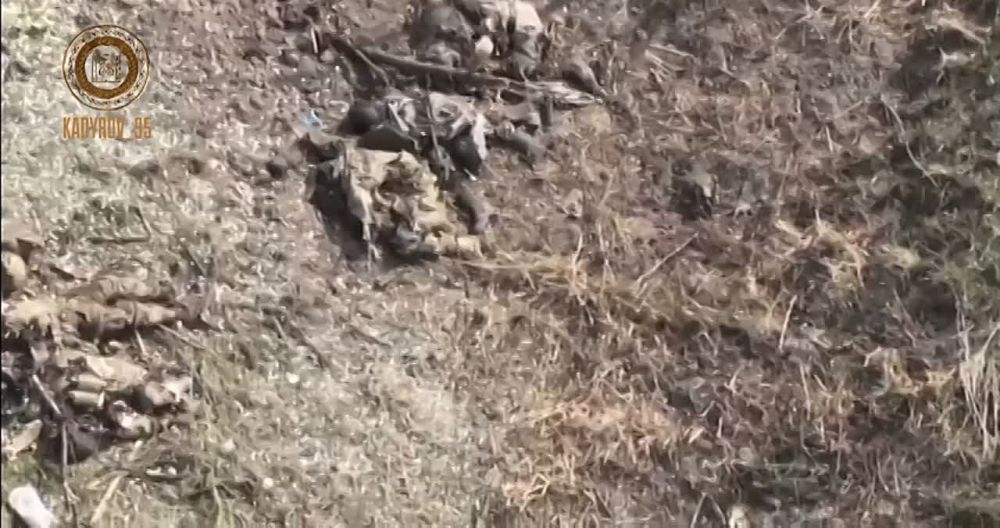 ������ �������: ��������� ���������� �����������-���������������� ������ ������� ���������������� � ����������� ���������