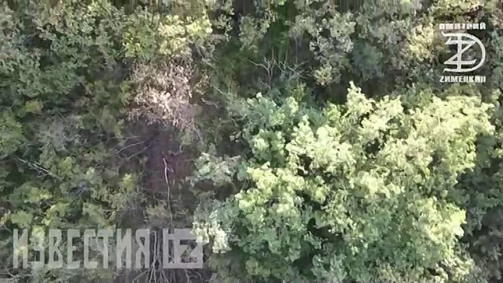 ������� ��������: "��� �� ����������, ����� � ��� ��������� �������� ��������������