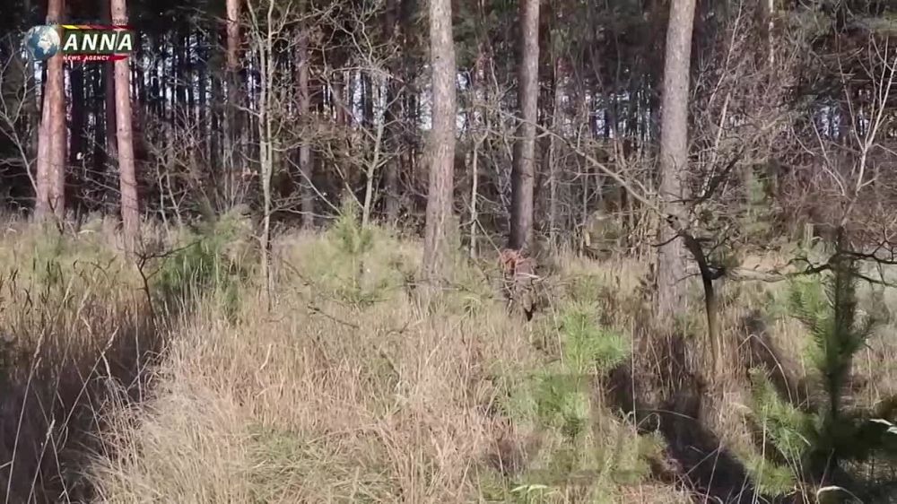 ������������� ���������� ��� ��������������� �������������� �� ��������� ���