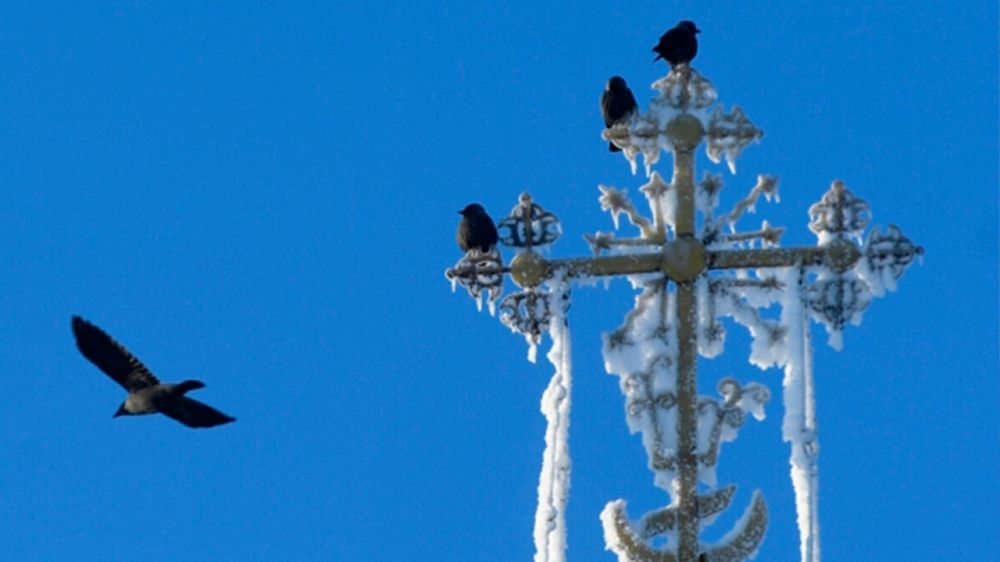 ��� ������������ ������� ������ ������������������