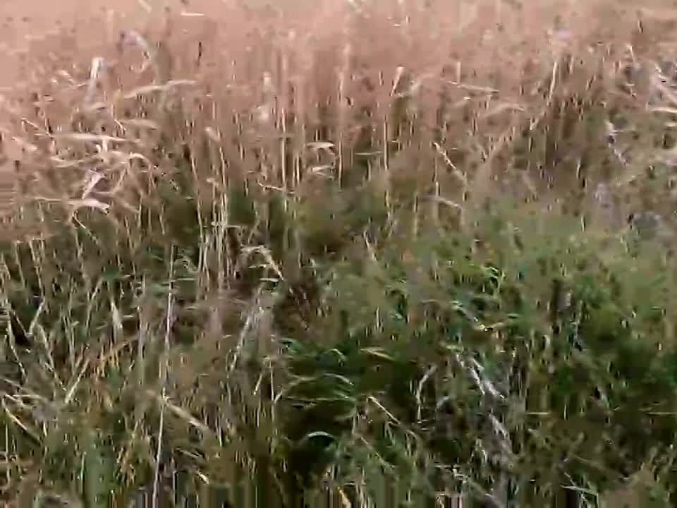 ����������� ������������ ������� ���������� ������������� �������� ����� �������������� ���, � ���������� ������� ������ � �������� ������� ������ ���������