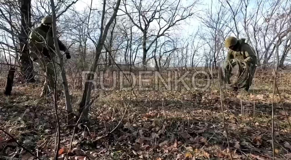 ������ �������: �������������� 2 �� �� ���� ���������� �������� ���������� �� ����������� �����������