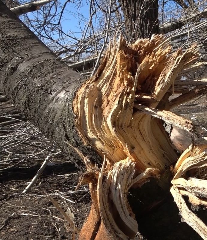 ������� ��������: ���������� ����������� �� �����