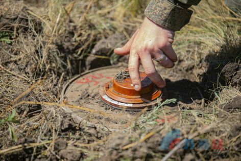 ������ � ������ ��� ����������� �� ���������� ��� 74 364 ������������� �������� - ���