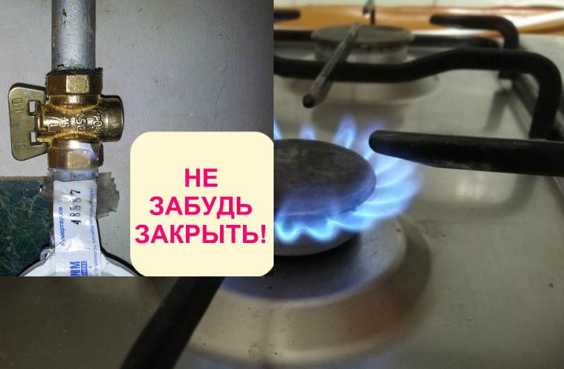 ������������� ������ ������ �� ����������ǻ �����������
