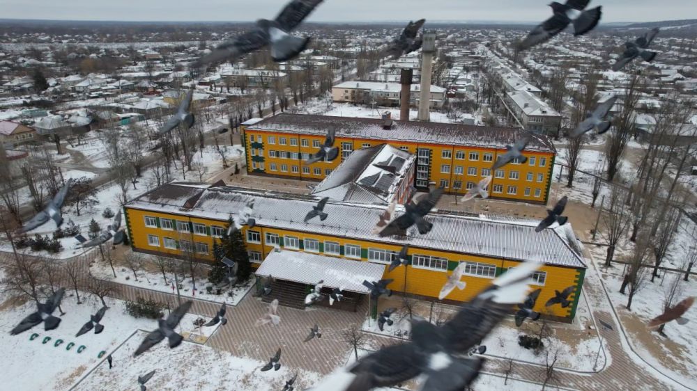 ������� ��������: � ���� ������ ����� ������ ���� �������