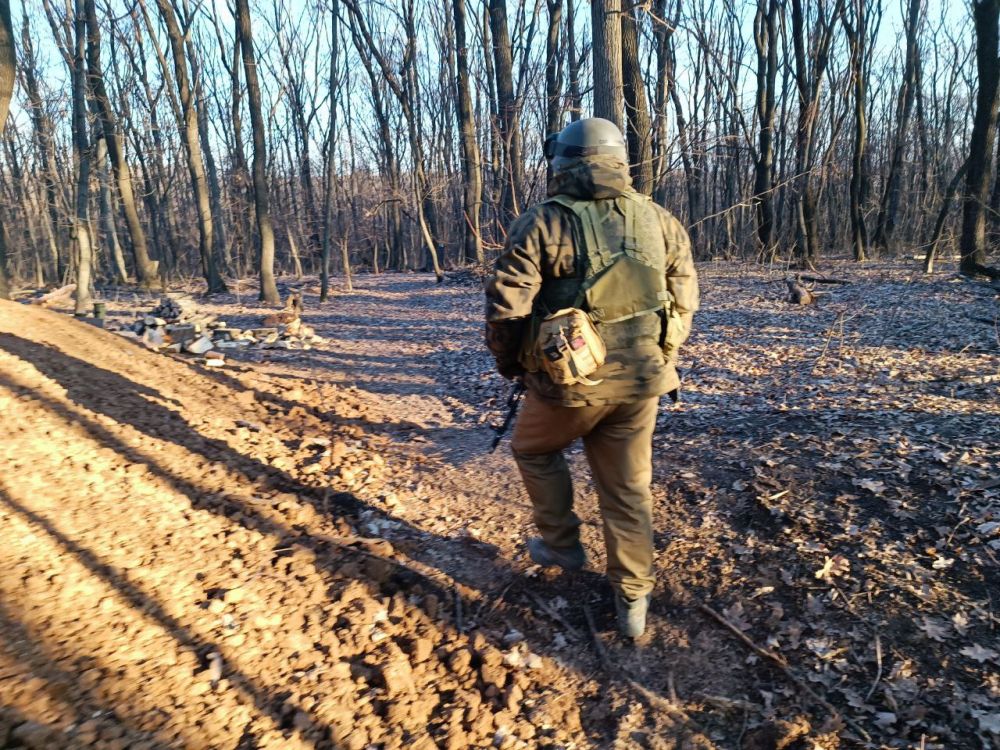 ���� ���������: ����� ������ ������� �� ���������� ����������� ��� ��������� (���)